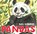 Pandas, Gail Gibbons - Gebonden - 9780823449835