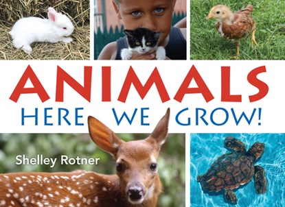 Animals!, Shelley Rotner - Paperback - 9780823451425
