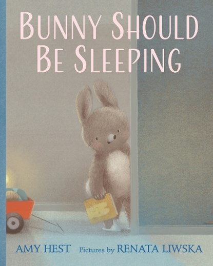 Bunny Should Be Sleeping, Amy Hest - Gebonden - 9780823453412