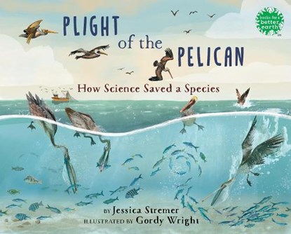 Plight of the Pelican, Jessica Stremer - Gebonden - 9780823457038
