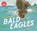 Bald Eagles, Gail Gibbons - Gebonden - 9780823462889