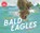 Bald Eagles, Gail Gibbons - Gebonden - 9780823462889