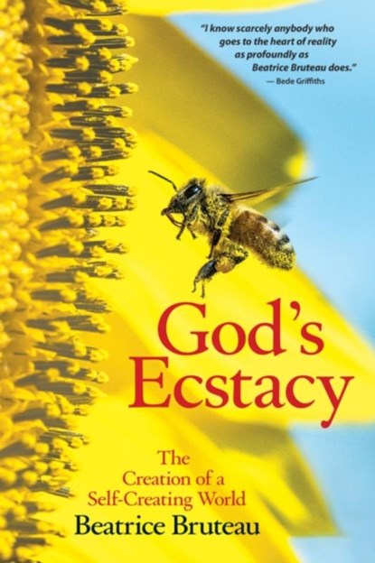 God's Ecstasy, Beatrice Bruteau - Paperback - 9780824516833