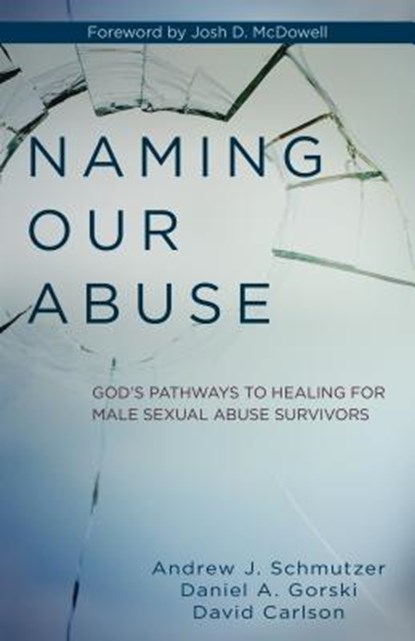 Naming Our Abuse, Andrew Schmutzer ; Daniel Gorski ; David Carlson - Paperback - 9780825444005