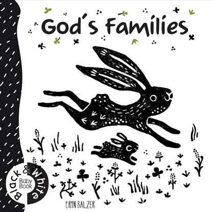GODS FAMILIES, Erin Balzer - Gebonden - 9780825445514