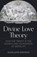 Divine Love Theory, Adam Johnson - Paperback - 9780825447570