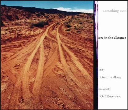 Something Out There in the Distance, Grant Faulkner - Gebonden - 9780826368584