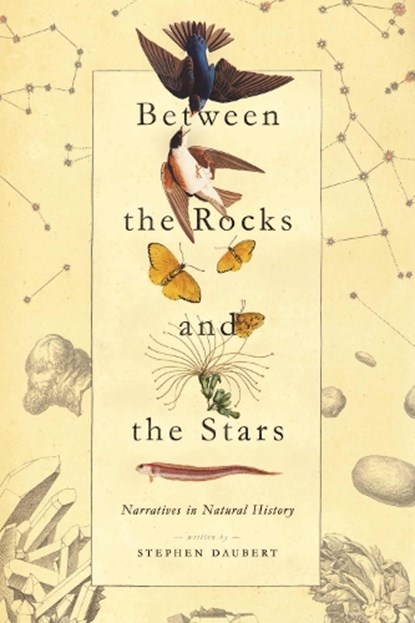 Between the Rocks and the Stars, Stephen Daubert - Paperback - 9780826522757