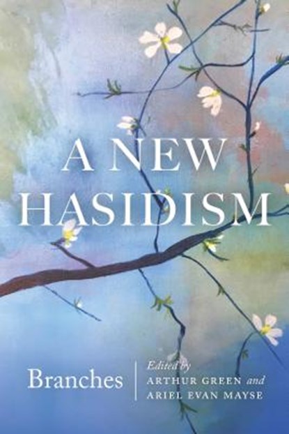 A New Hasidism: Branches, Arthur Green ; Ariel Evan Mayse - Paperback - 9780827613072