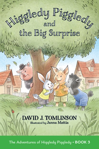 Higgledy Piggledy and the Big Surprise: The Adventures of Higgledy Piggledy Book 3 Volume 3, David J. Tomlinson - Paperback - 9780829458008