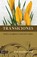 Transiciones, Dan Southerland - Paperback - 9780829721713