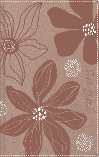 RVR60, Biblia de Estudio para Jovenes Adolescentes, Leathersoft, Oro Rosa, Palabras de Jesus en Rojo, Comfort Print, Vida ; RVR 1960- Reina Valera 1960 - Gebonden - 9780829773279