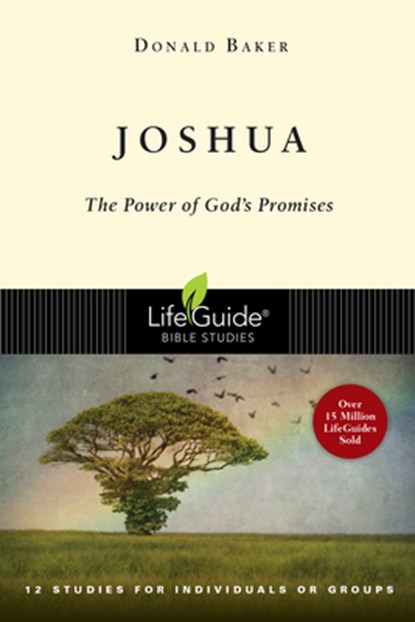 Joshua: The Power of God's Promise, Donald Baker - Paperback - 9780830830244