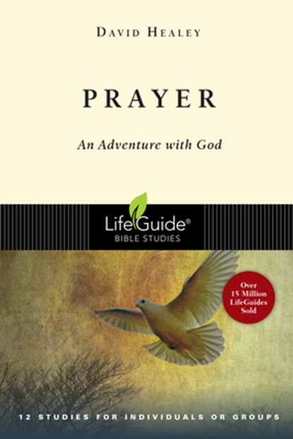 Prayer: An Adventure with God, David Healey - Paperback - 9780830830534