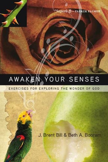 Awaken Your Senses, J. Brent Bill ; Beth A. Booram - Paperback - 9780830835607