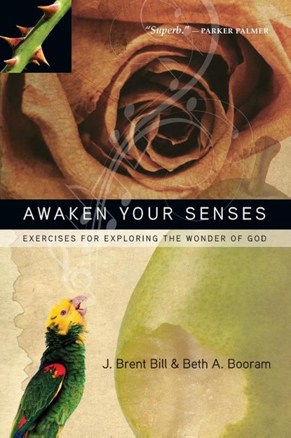 Awaken Your Senses, J. Brent Bill ; Beth A. Booram - Paperback - 9780830835607