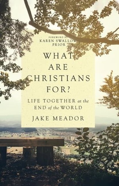 What Are Christians For?, Jake Meador - Ebook - 9780830847372