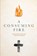 Consuming Fire, Debbie Goodwin - Paperback - 9780834143746