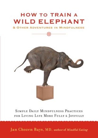 How to Train a Wild Elephant, Jan Chozen Bays - Ebook - 9780834827462