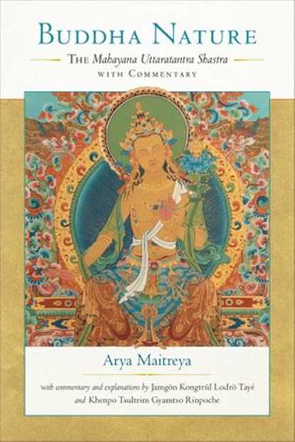 Buddha Nature, Arya Maitreya ; Jamgon Kongtrul Lodro Taye ; Khenpo Tsultrim Gyamtso - Ebook - 9780834841673