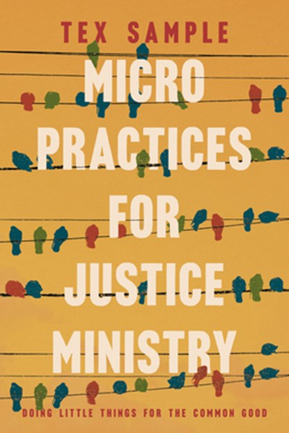 Micro Practices for Justice Ministry: Doing Little Things for the Common Good, Tex Sample - Paperback - 9780835820530