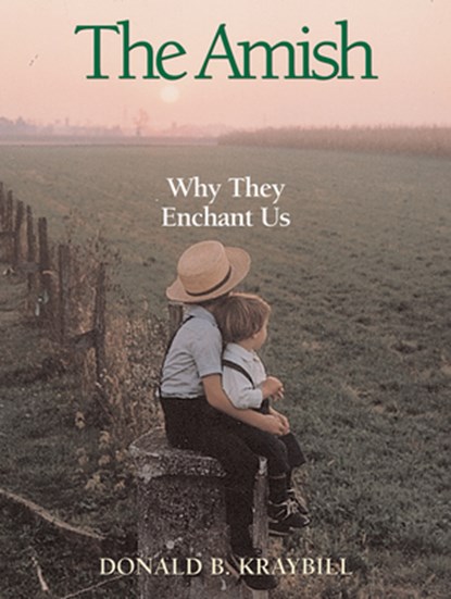 Kraybill, D: Amish, Donald B. Kraybill - Paperback - 9780836192414