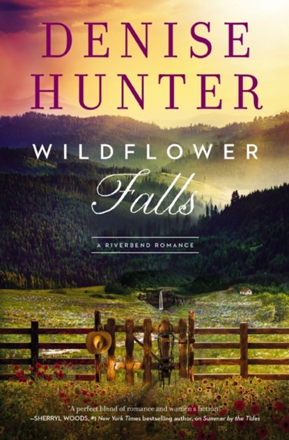Wildflower Falls, Denise Hunter - Paperback - 9780840716620