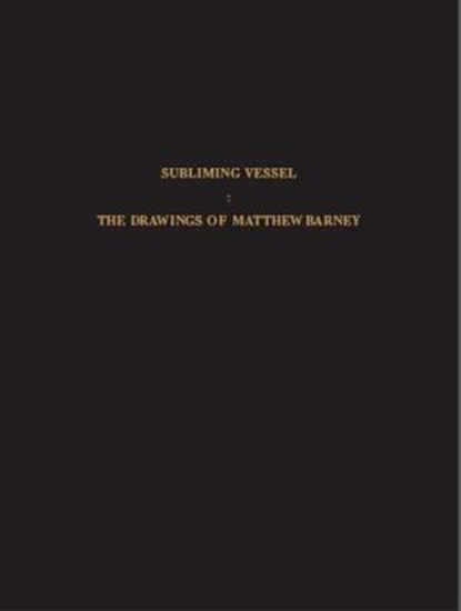 The Subliming Vessel, Klaus Kertess ; Roni Horn - Gebonden - 9780847839766