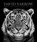 David Yarrow Photography, David Yarrow ; Tom Brady - Gebonden - 9780847864775
