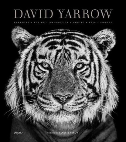 David Yarrow Photography, David Yarrow ; Tom Brady - Gebonden - 9780847864775
