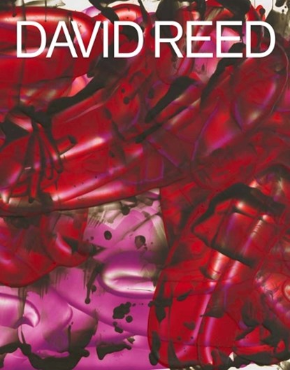 David Reed, Richard Schiff - Gebonden - 9780847871766