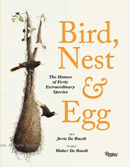 Bird, Nest & Egg, Walter De Raedt ; Joris De Raedt - Gebonden - 9780847875900