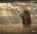 The Earth We Share, Bjorn Persson ; Jane Goodall - Gebonden - 9780847877102