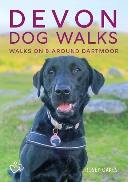 Devon Dog Walks, Rosey Oakes - Paperback - 9780850254891