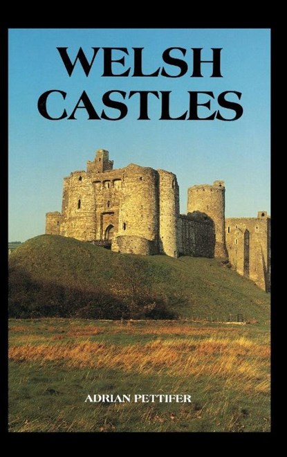 Welsh Castles, Adrian Pettifer - Gebonden - 9780851157788