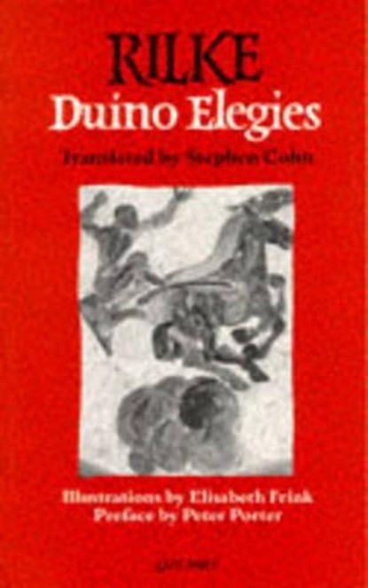 Duino Elegies, Rainer Rilke - Paperback - 9780856358371