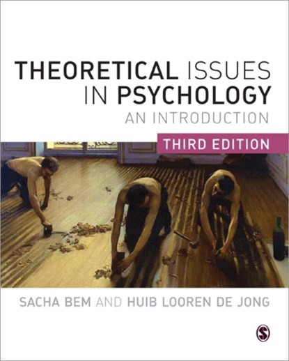 Theoretical Issues in Psychology, Sacha Bem ; Huib Looren de Jong - Paperback - 9780857029799