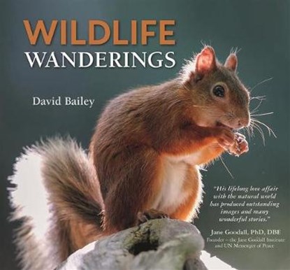 Wildlife Wanderings, David Bailey - Gebonden - 9780857043528