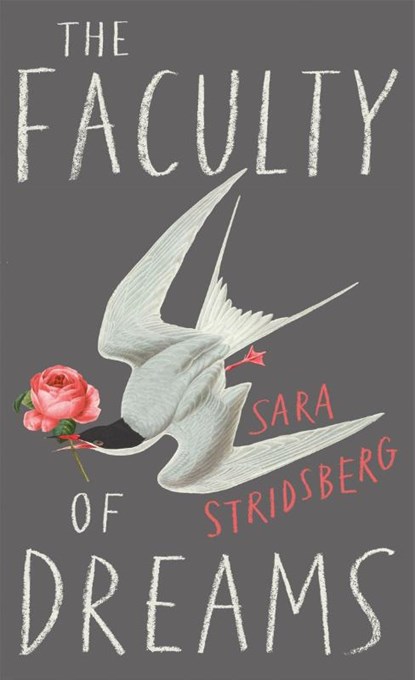 The Faculty of Dreams, Sara Stridsberg - Paperback - 9780857054746