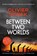 Between Two Worlds, Olivier Norek - Gebonden - 9780857059215