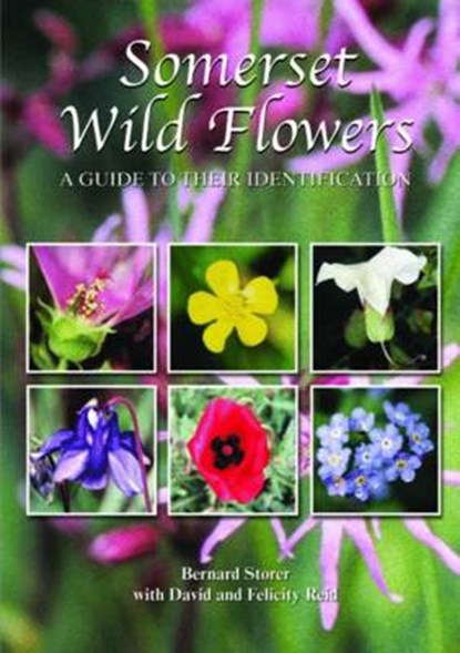 Somerset Wild Flowers, Bernard Storer ; David Reid ; Felicity Reid - Gebonden - 9780857100894