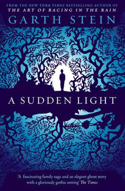 A Sudden Light, Garth Stein - Paperback - 9780857205773