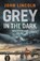 Grey in the Dark, John Lincoln - Paperback - 9780857305169
