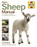 Sheep Manual, Liz Shankland - Gebonden - 9780857337702