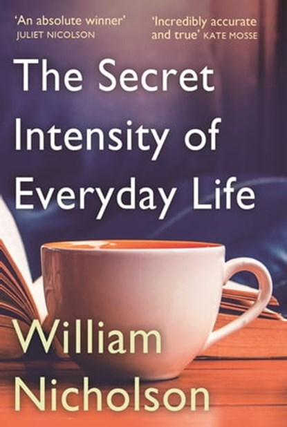 The Secret Intensity of Everyday Life, William Nicholson - Ebook - 9780857383068