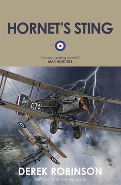 Hornet's Sting, Derek Robinson - Ebook - 9780857388490
