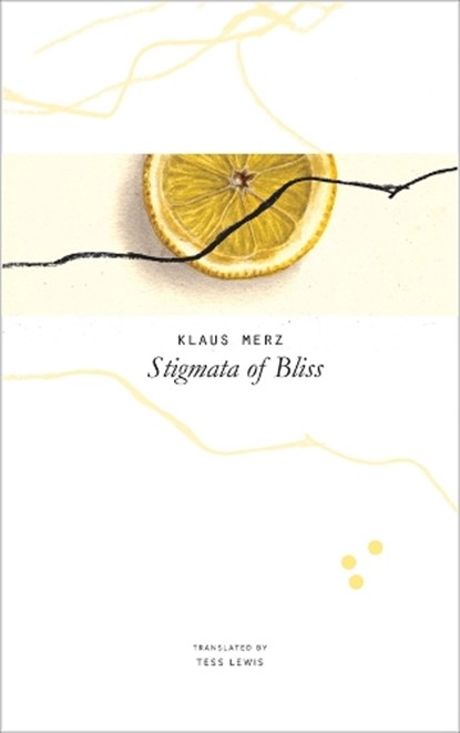 Stigmata of Bliss, Merz Klaus - Gebonden - 9780857423719