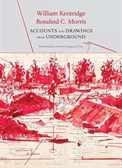 Accounts and Drawings from Underground, William Kentridge ; Rosalind C Morris - Gebonden - 9780857428523