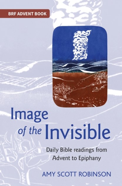 Image of the Invisible, Amy Scott Robinson - Paperback - 9780857467898