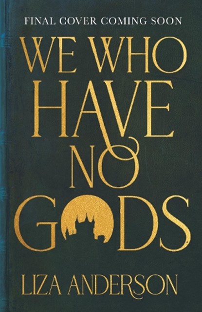 We Who Have No Gods, Liza Anderson - Paperback - 9780857507099